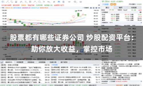 股票都有哪些证券公司 炒股配资平台:助你放大收益,掌控市场