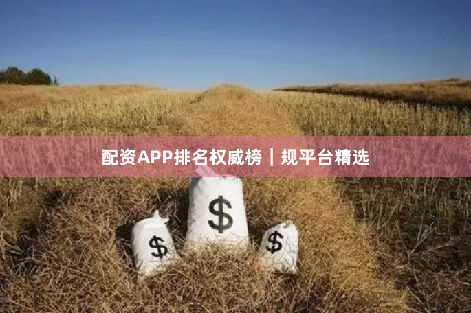 配资APP排名权威榜｜规平台精选