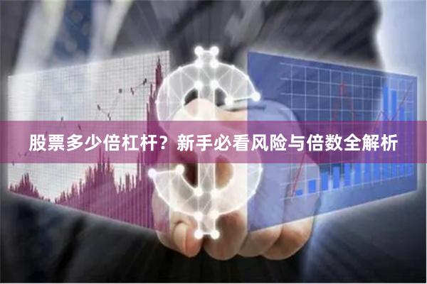 股票多少倍杠杆？新手必看风险与倍数全解析