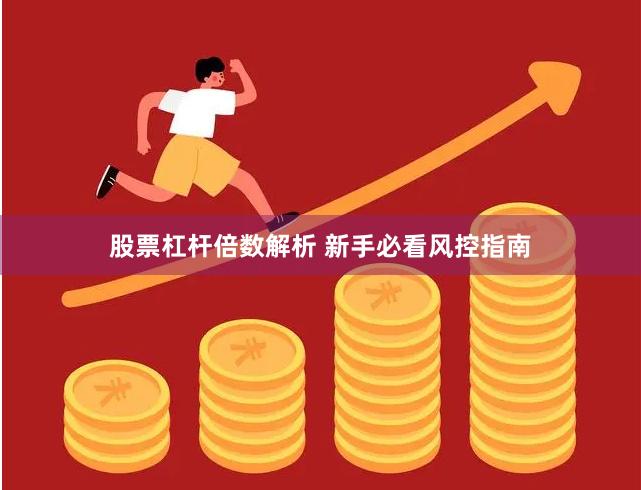 股票杠杆倍数解析 新手必看风控指南